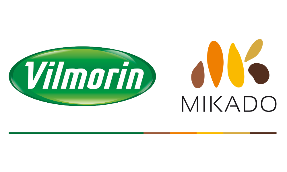 VILMORIN MIKADO
